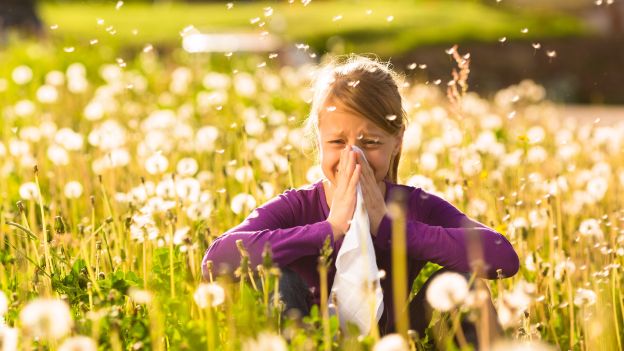 tosse allergica in primavera