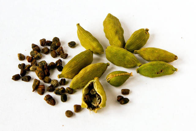 Cardamomo: proprietà terapeutiche e tisana