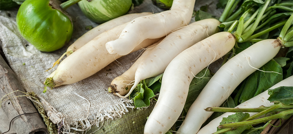 Daikon, le proprietà della radice bianca più famosa dell'Asia