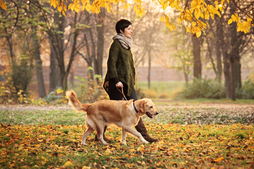 Passeggiare con il cane fa bene alla salute