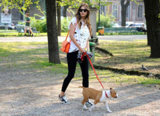 Passeggiare col cane fa bene alla salute