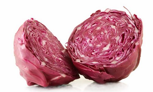 cavolo rosso per fare il pane viola