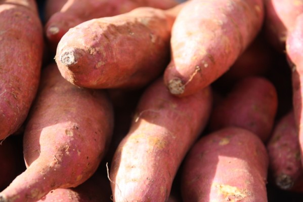 patate per fare il pane viola