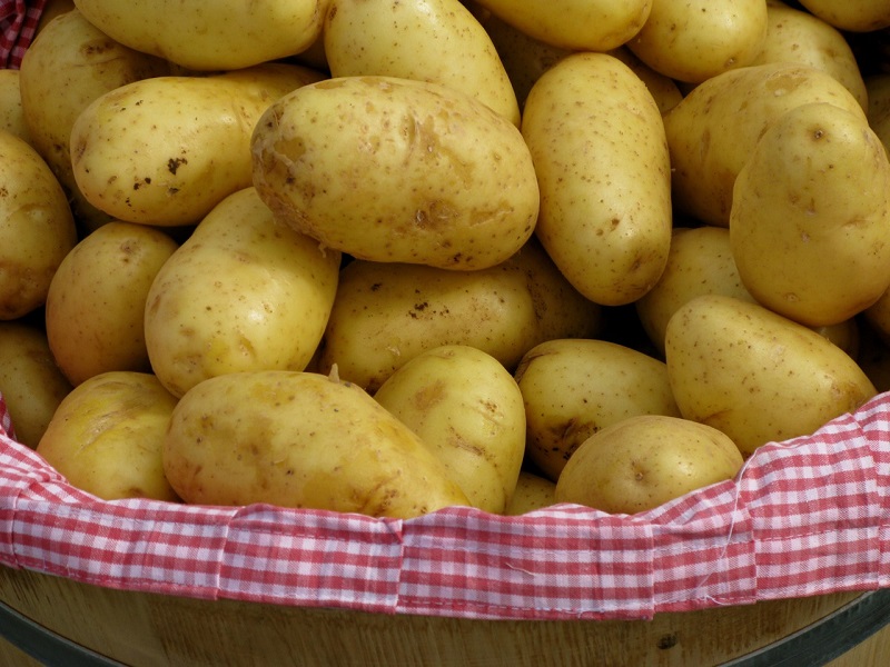 cesta di patate