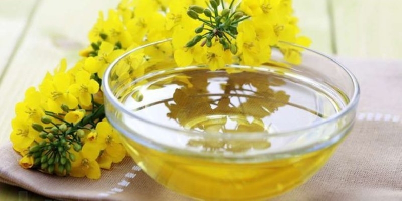 olio di camelina aiuta a depurare il fegato