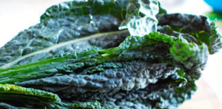 cavolo nero