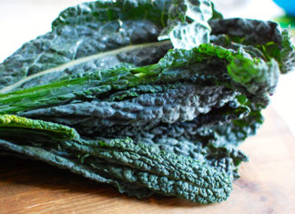 cavolo nero