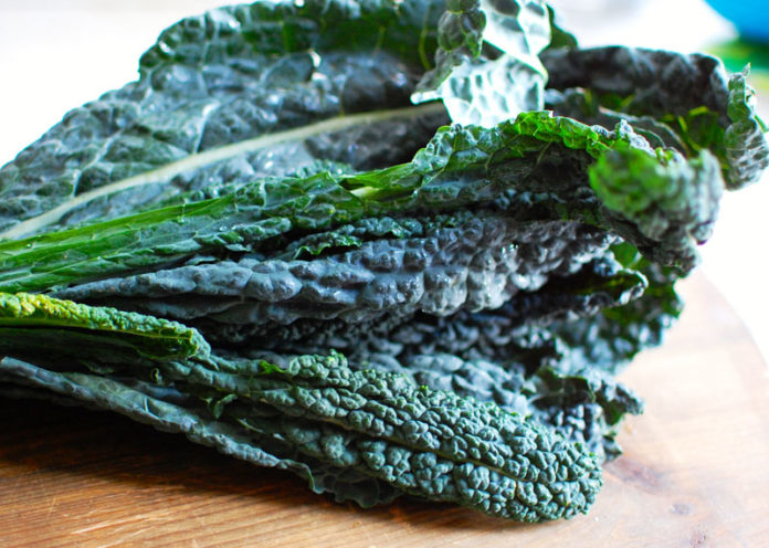 cavolo nero