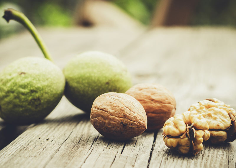 Noci, frutto oleoso contenente omega 3