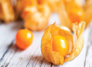 Alchechengi, un frutto eccellente da usare in ricette dolci e salate