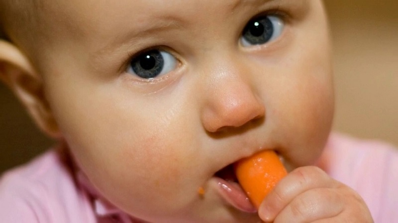 bambino mangia carota cruda