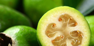 Feijoa: frutto esotico dalle molte proprietà benefiche