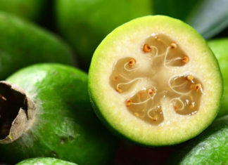 Feijoa: frutto esotico dalle molte proprietà benefiche