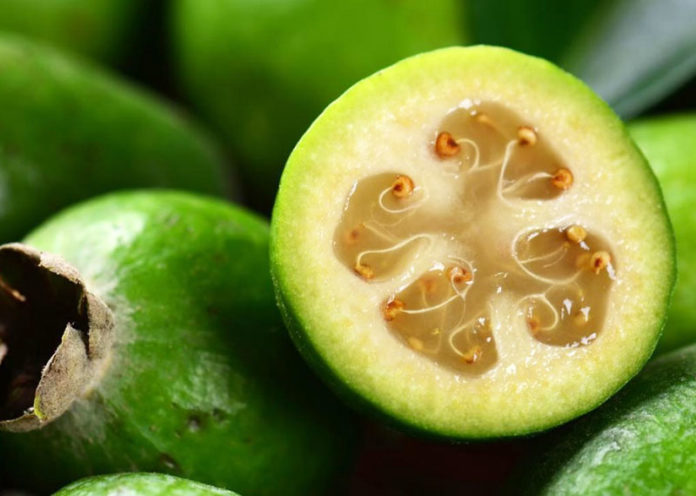 Feijoa: frutto esotico dalle molte proprietà benefiche