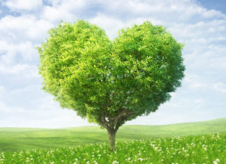 San Valentino, meglio se green ed ecosostenibile: idee per regali alternativi