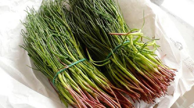 agretti