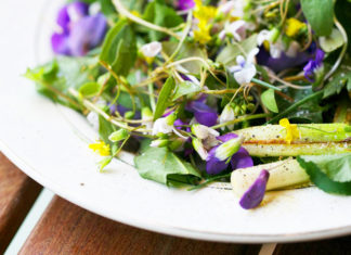 Foraging, ovvero mettere nel piatto ciò che offre la natura