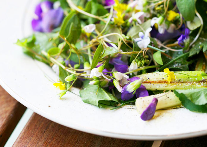 Foraging, ovvero mettere nel piatto ciò che offre la natura