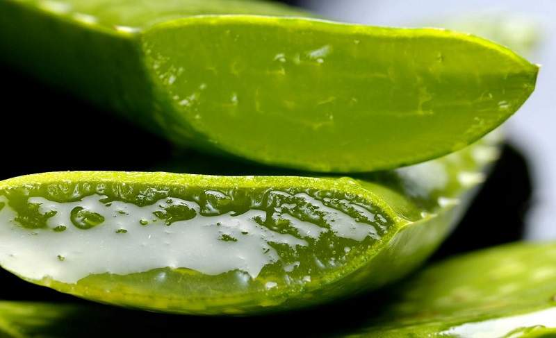 aloe vera dopo sole