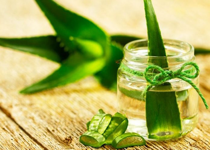 Succo di aloe vera fai-da-te, come tonico e disintossicante