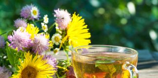 4 tisane depuranti ai fiori ed erbe di primavera