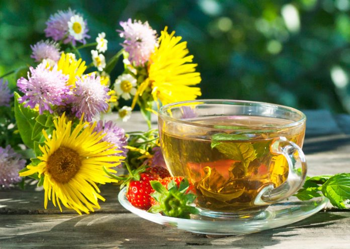 4 tisane depuranti ai fiori ed erbe di primavera