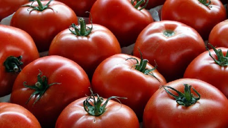 pomodoro salutare per l'organismo