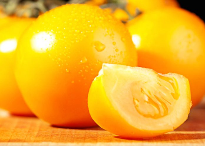 pomodoro giallo