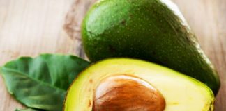 Seme di avocado: come piantarlo e come utilizzarlo in cucina