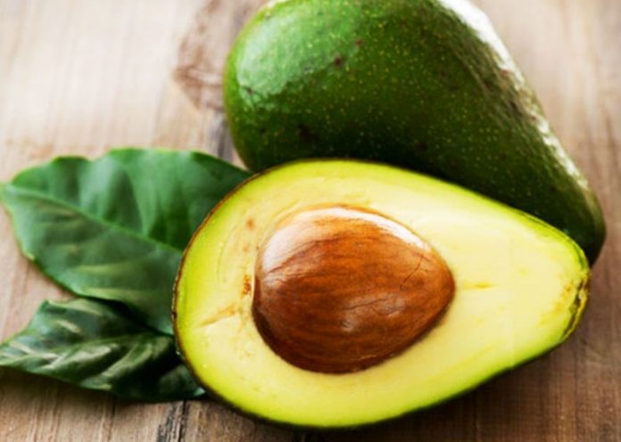 Seme di avocado: come piantarlo e come utilizzarlo in cucina