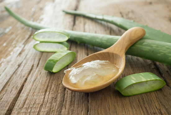 aloe vera per cicatrizzare le ferite