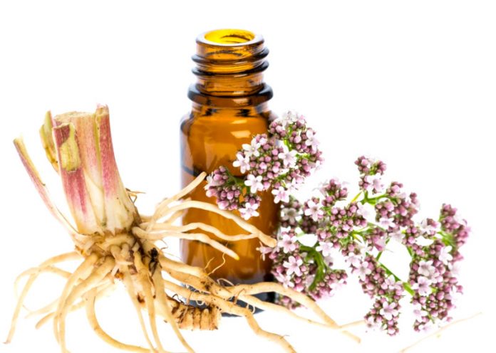Valeriana, un potente rimedio naturale contro insonnia, ansia e stress Valeriana, un potente rimedio naturale contro insonnia, ansia e stress