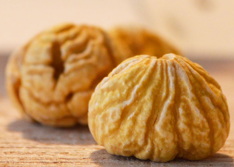 castagne secche