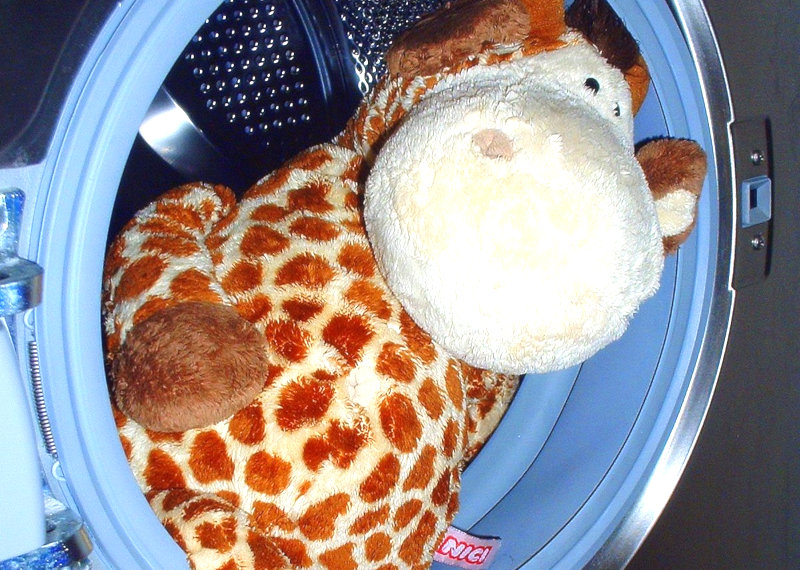 Come lavare i peluche, ricettacoli di acari e batteri