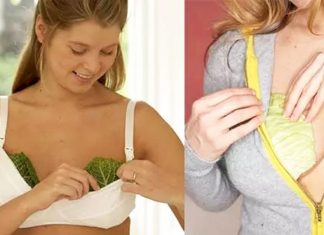 2 foglie di cavolo nel reggiseno? Un rimedio naturale incredibile!