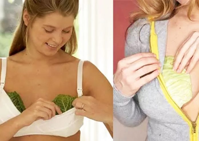 2 foglie di cavolo nel reggiseno? Un rimedio naturale incredibile!