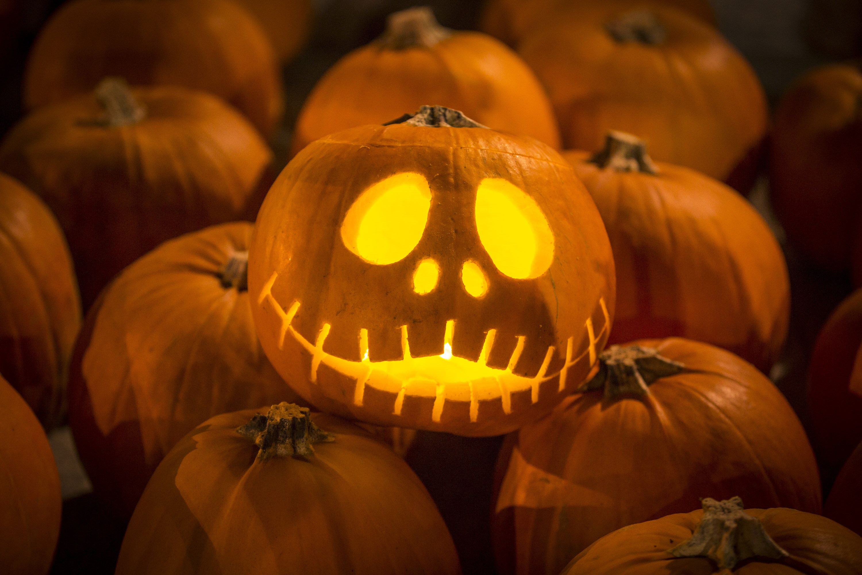 zucca di halloween