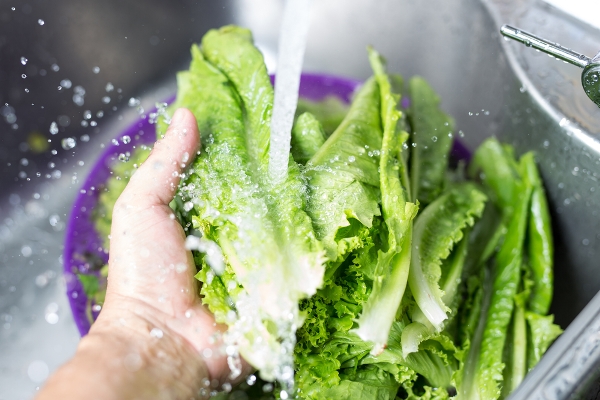 lavare sempre l'insalata, anche quella in busta già pronta