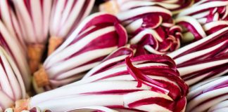 radicchio rosso