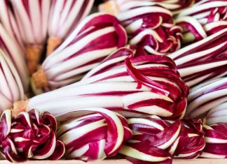 radicchio rosso