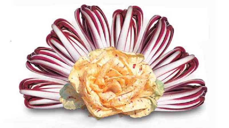 radicchio rosso