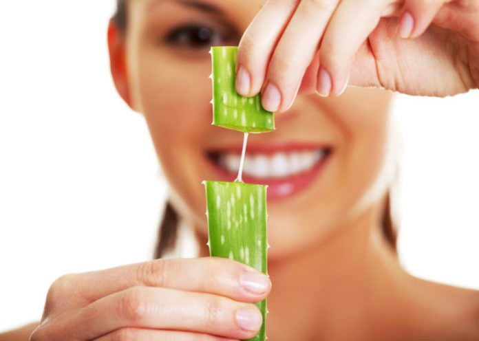 Aloe vera: 5 benefici inaspettati per la nostra bellezza Aloe vera: 5 benefici inaspettati per la nostra bellezza