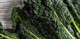 cavolo nero