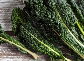 cavolo nero