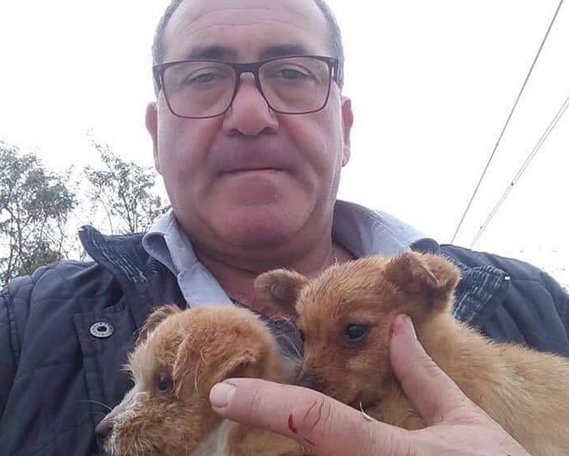 il macchinista con i due cuccioli di cane salvati