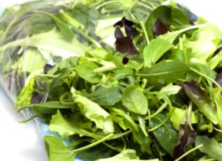 Insalata in busta: attenzione, può contenere batteri resistenti agli antibiotici