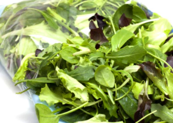 Insalata in busta: attenzione, può contenere batteri resistenti agli antibiotici