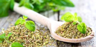 Origano, pianta aromatica dalle ottime proprietà benefiche (sottovalutate)