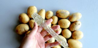 Plastica di patate: 100% biodegradabile e anche commestibile