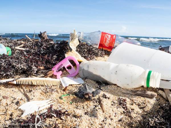 plastica al posto della barriera corallina